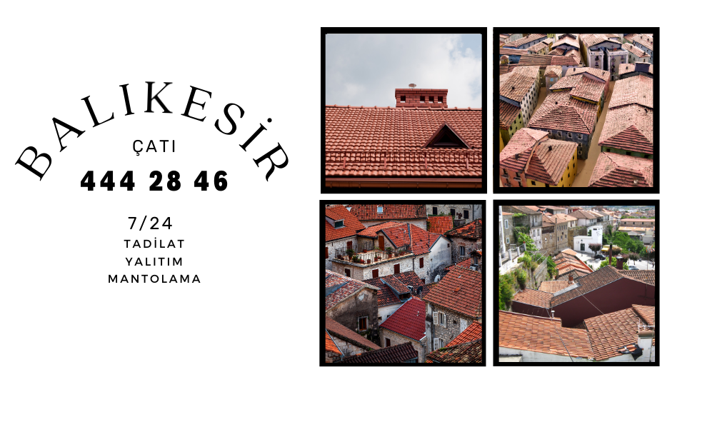 balikesir-ahsap-cati-firmalari